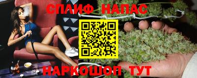 сатива Будённовск