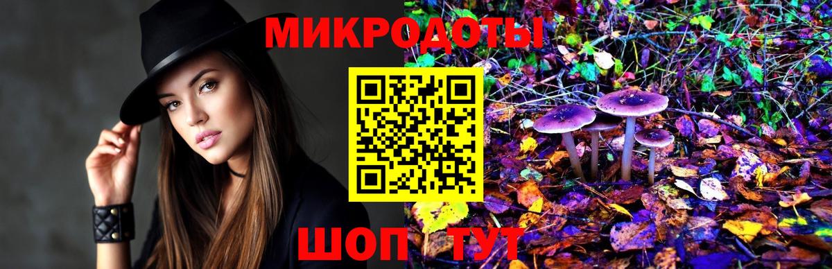 Галлюциногенные грибы MAGIC MUSHROOMS  Вход с VPN  Феодосия  Галлюциногенные грибы Cubensis 